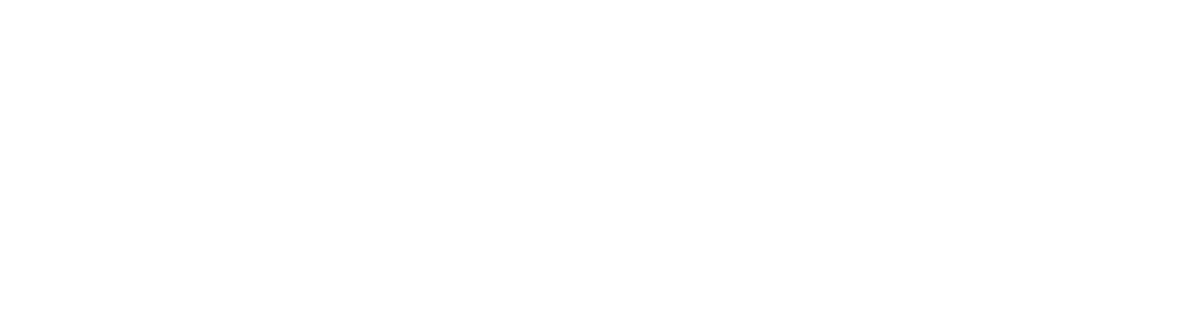 peakproperty-logo-white